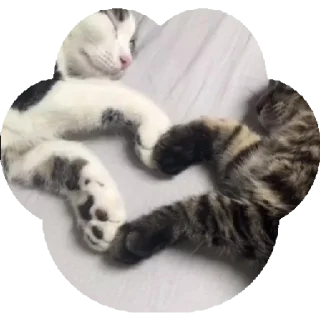 Стикер <3 - 9