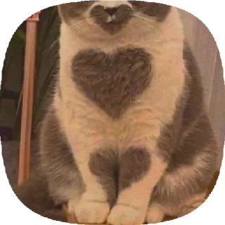 Стикер <3 - 11