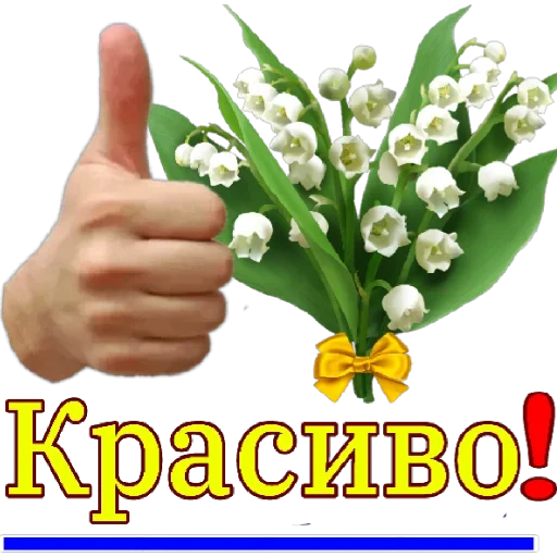 Микс Микс -