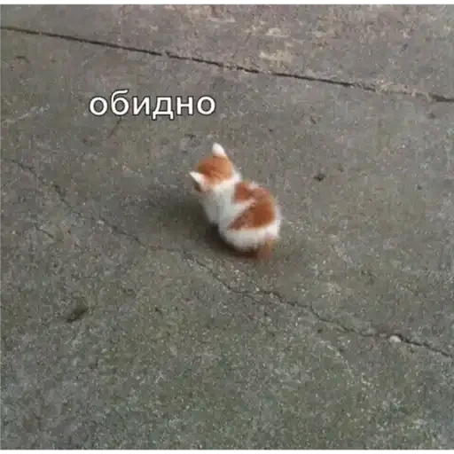 Важные стикеры