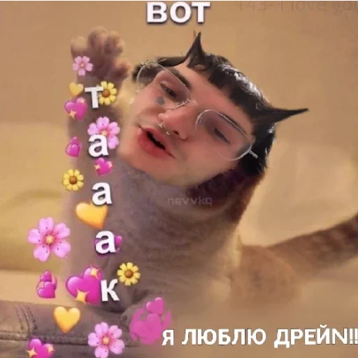 цветок цветок человеческое лицо улыбаться