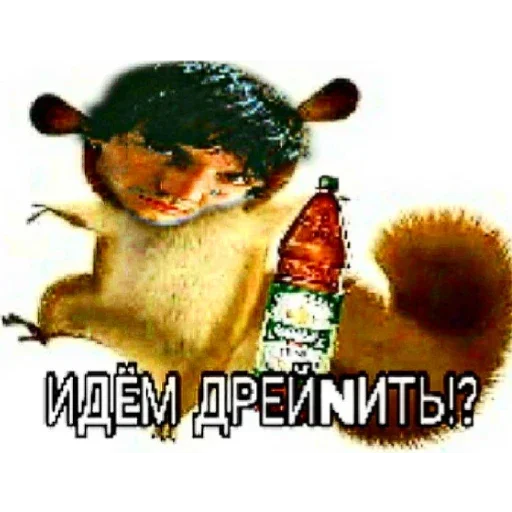 СМС СМС млекопитающее обезьяна