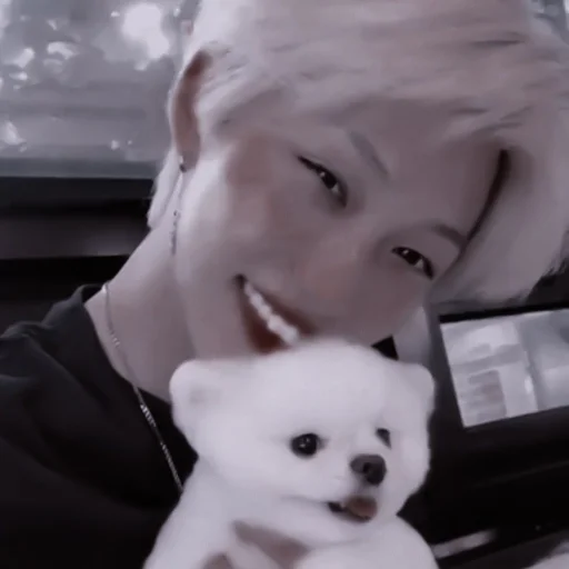 animal animal mammal person