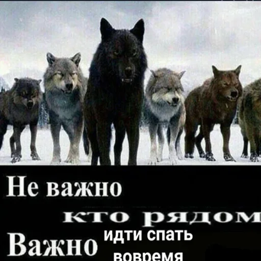 урыл урыл -