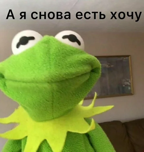 toy toy plush cartoon
