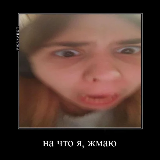 _sofi.iiiiii .!. _sofi.iiiiii .!. -