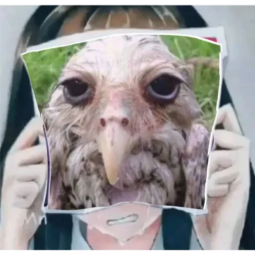 солевая 🧂🦉 солевая 🧂🦉 -