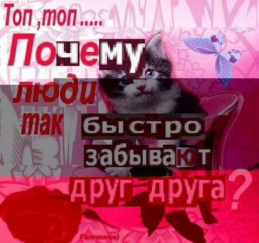 Солнце не дарит улыбки Солнце не дарит улыбки -