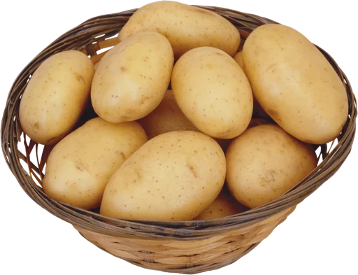 potato potato -