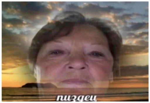 их сделала я их сделала я -