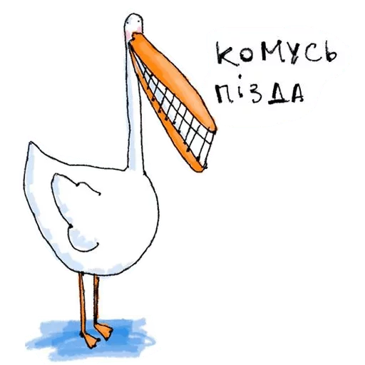 bird bird cartoon drawing