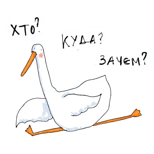 text text pelican bird