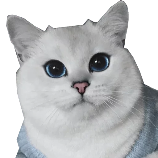 animal animal cat mammal