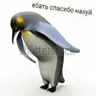Аче) — @stckrRobot Аче) — @stckrRobot - animal