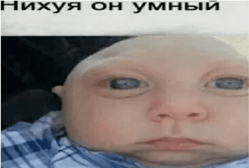 human face human face baby skin