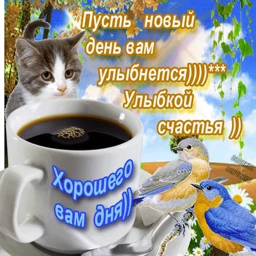 idblackswan3 — @stckrRobot idblackswan3 — @stckrRobot - СМС