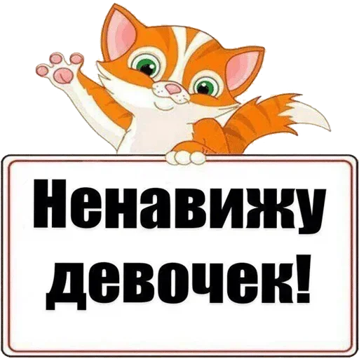 СМС СМС кошка животное