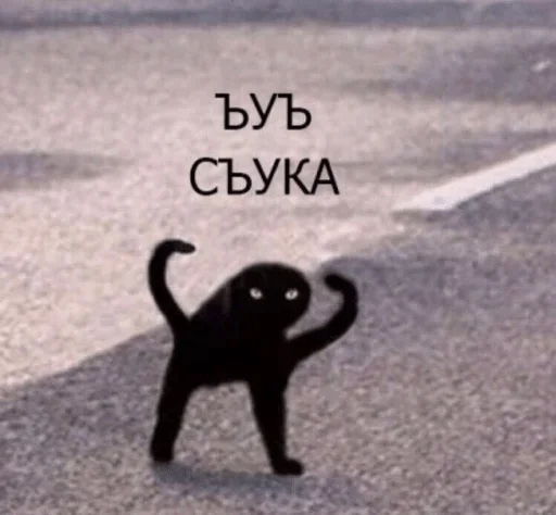 Хындыр мындыр — @stckrRobot Хындыр мындыр — @stckrRobot - животное