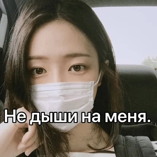 Человек Человек женщина комнатный