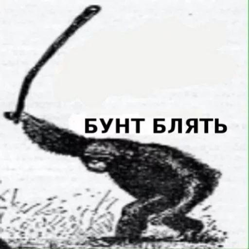 Sticker аморальная жизнь — @stckrRobot - 2