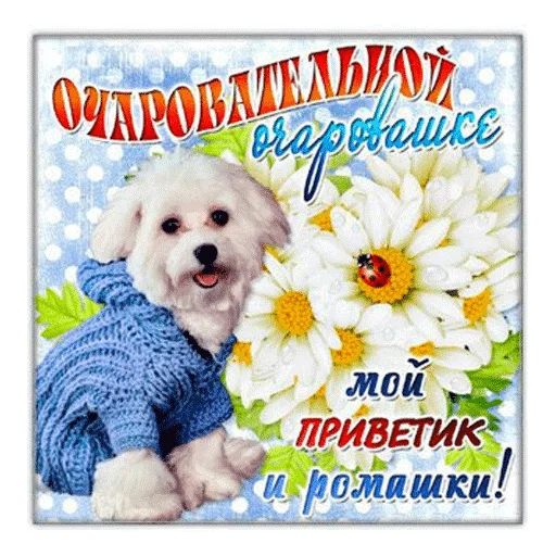 animal animal text flower