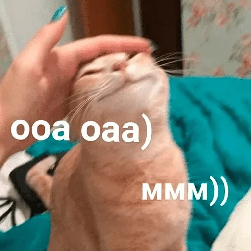 Sticker быдла хануся — @stckrRobot - 9