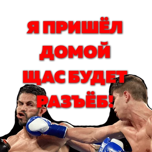 спорт спорт бокс СМС