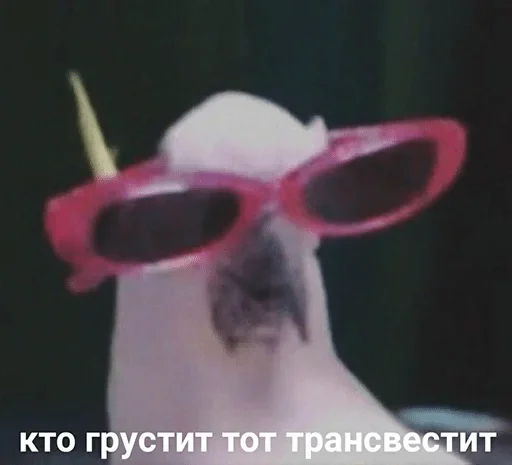 accessory accessory goggles eyewear