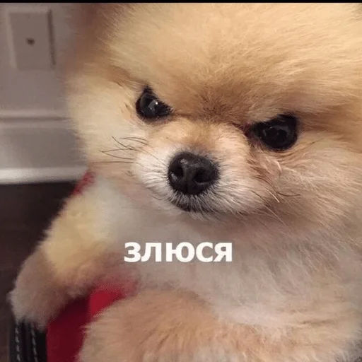 Стикер Alexey — @stckrRobot - 10