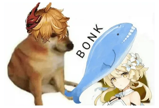dog dog animal mammal