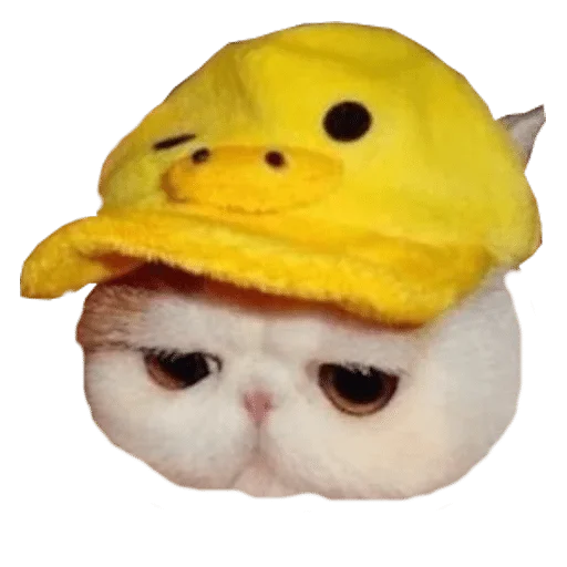 toy toy hat yellow
