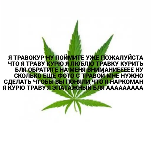 text text hemp cannabis