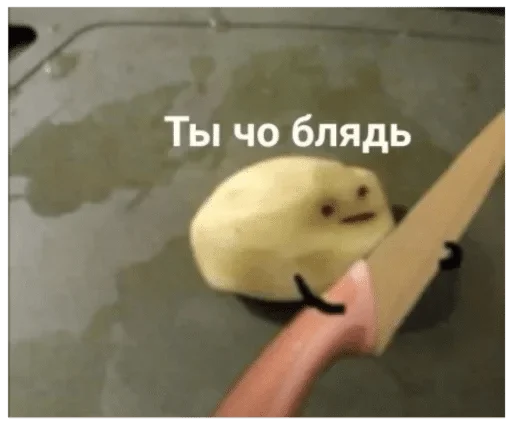 knife knife kitchen knife food