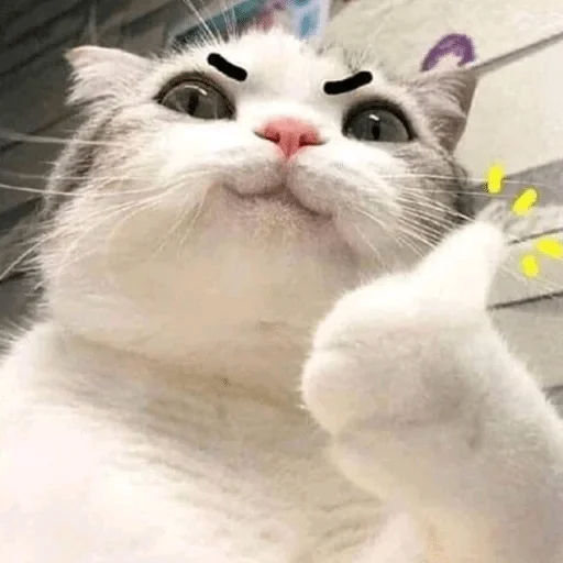 Derpy Animals — @stckrRobot Derpy Animals — @stckrRobot - животное