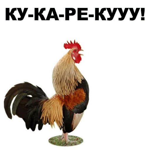 Стикер pavlenty_mega_pack — @stckrRobot - 2