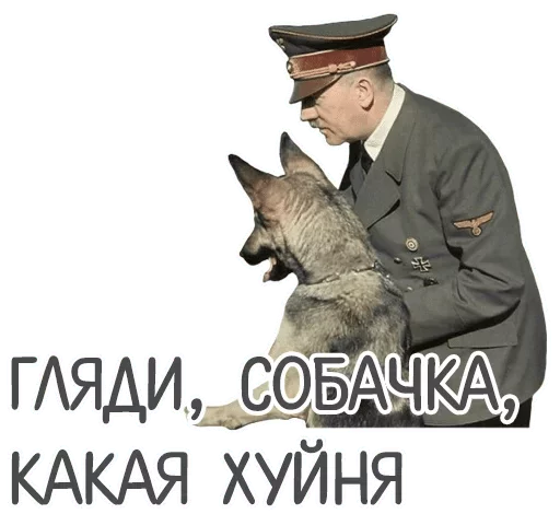 text text animal mammal