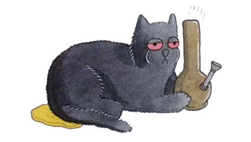 sketch sketch cat drawing