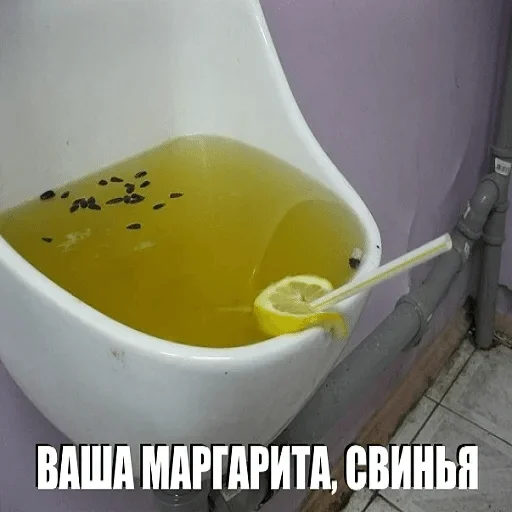 bowl bowl drink cup