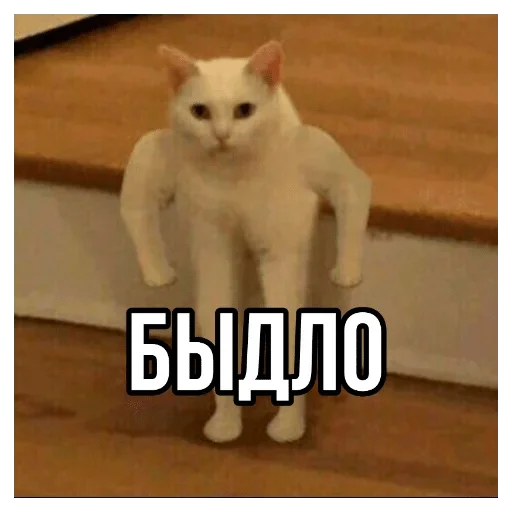Стикер @Firdavs_bro — @stckrRobot - 4