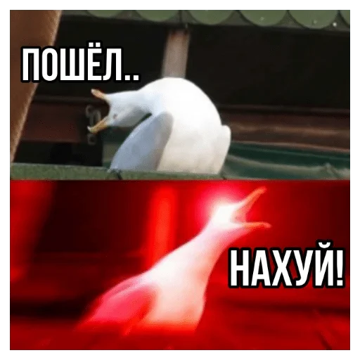Стикер @Firdavs_bro — @stckrRobot - 1