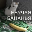 Кайдятник — @stckrRobot Кайдятник — @stckrRobot - животное