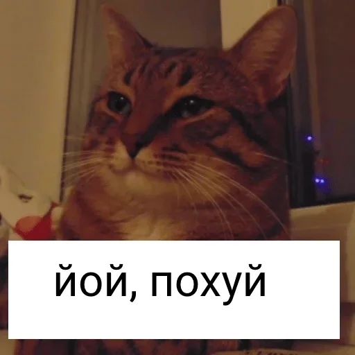 mine — @stckrRobot mine — @stckrRobot -