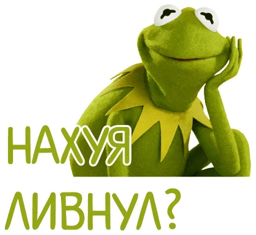 frog frog text cartoon