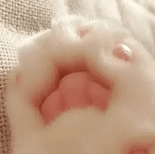skin skin sleep person