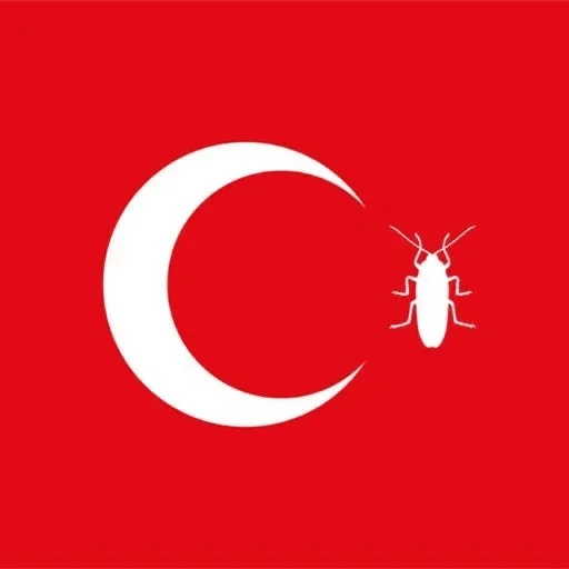 insect graphics graphic design