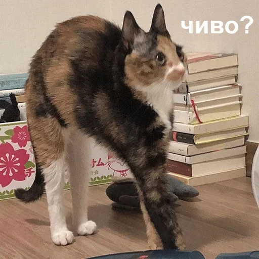 Зверьё — @stckrRobot Зверьё — @stckrRobot -