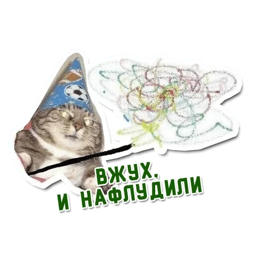 cat cat flower animal