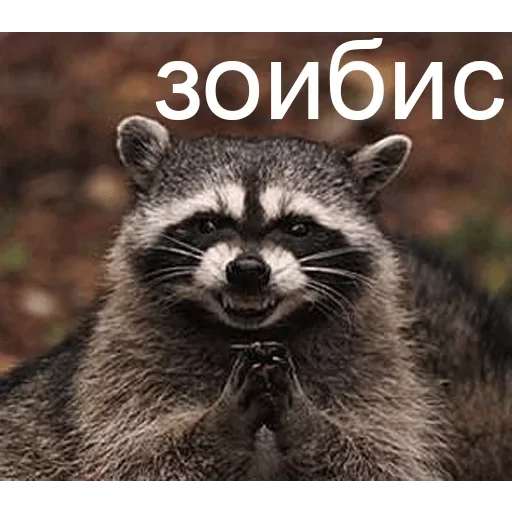 Стикер rllly? — @stckrRobot - 5