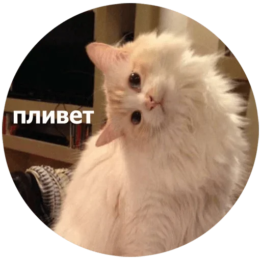 Панические стикеры — @stckrRobot Панические стикеры — @stckrRobot - человеческое лицо