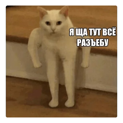 Стикер 0412 — @stckrRobot - 8 Стикер 0412 — @stckrRobot - 8